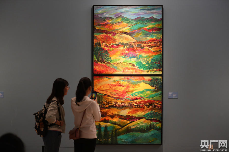 在“美丽中国”展区，观众看得十分认真。（央广网记者 韩靖 摄）